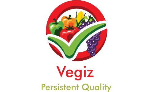Vegiz Logo